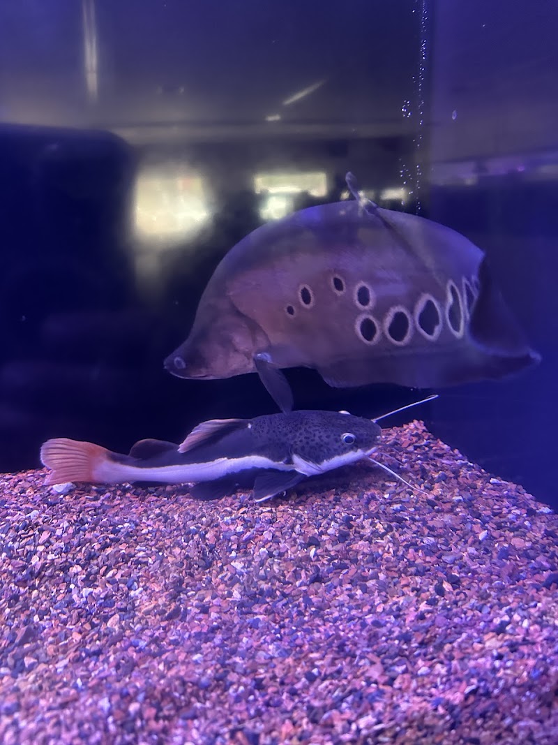 Reef Lounge Norco - Photo 3