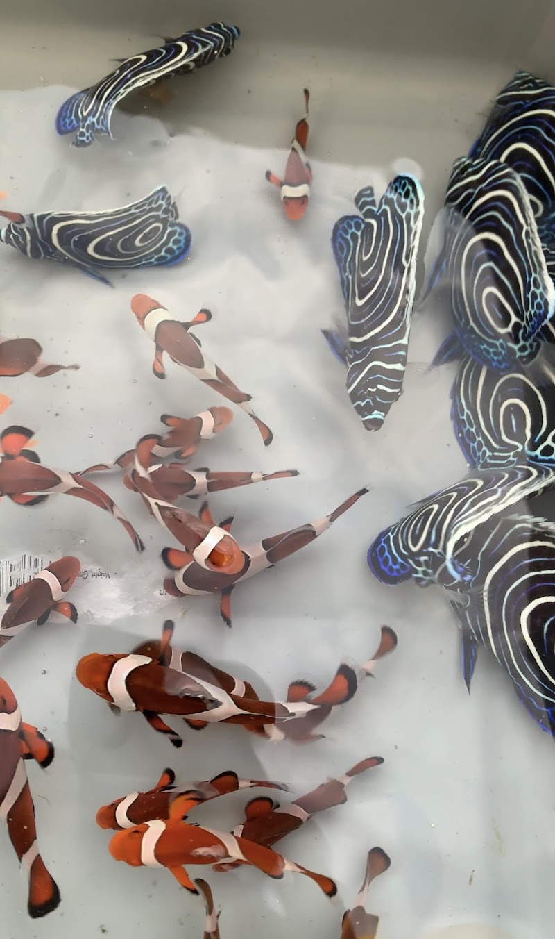 Reef Lounge Norco - Photo 5