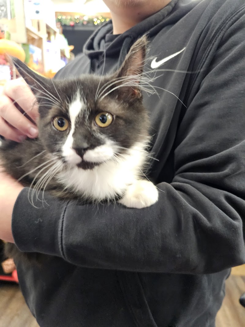 Firehouse Pet Shop - Photo 3