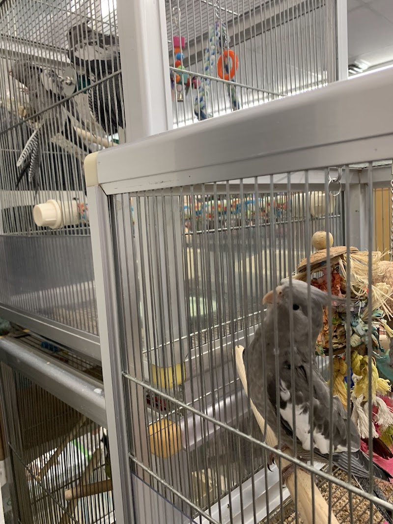 Ellensburg Pet Center - Photo 3