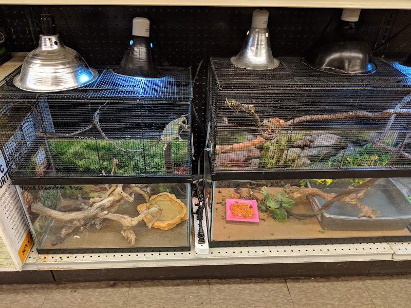 Ellensburg Pet Center - Photo 4