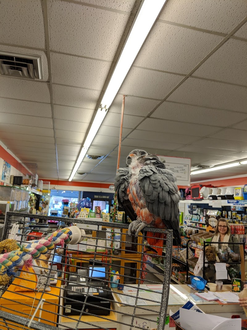 Ellensburg Pet Center - Photo 5