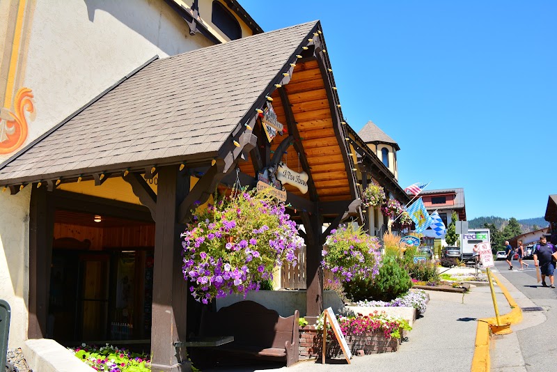 A Paw Above - Photo 5