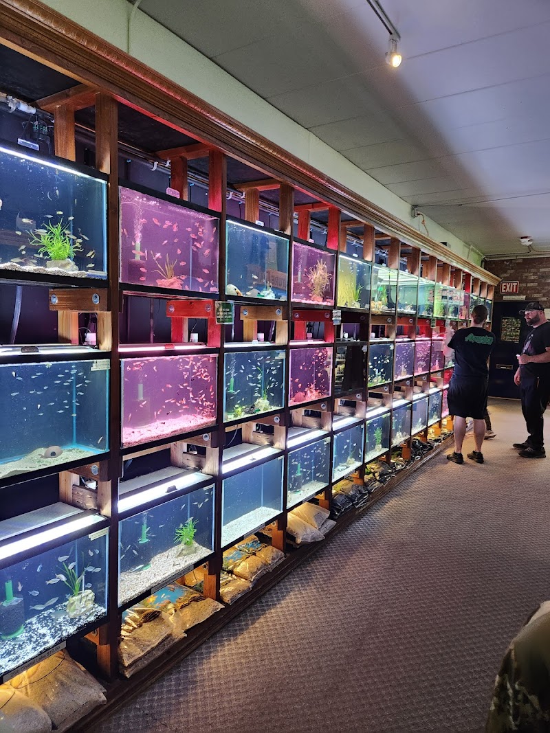 Aquarium Co-op - Photo 4