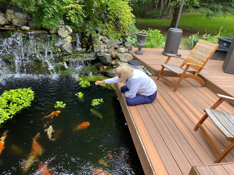 Play It Koi - Photo 3