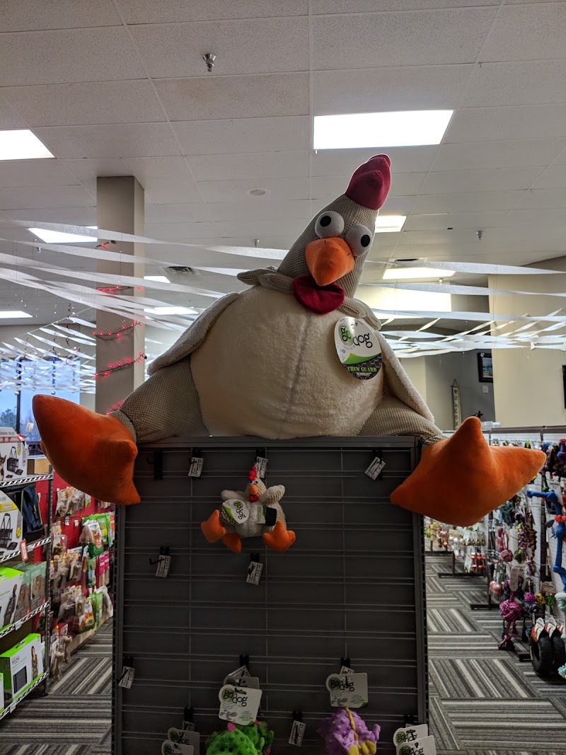 Paw's Natural Pet Emporium - Photo 2