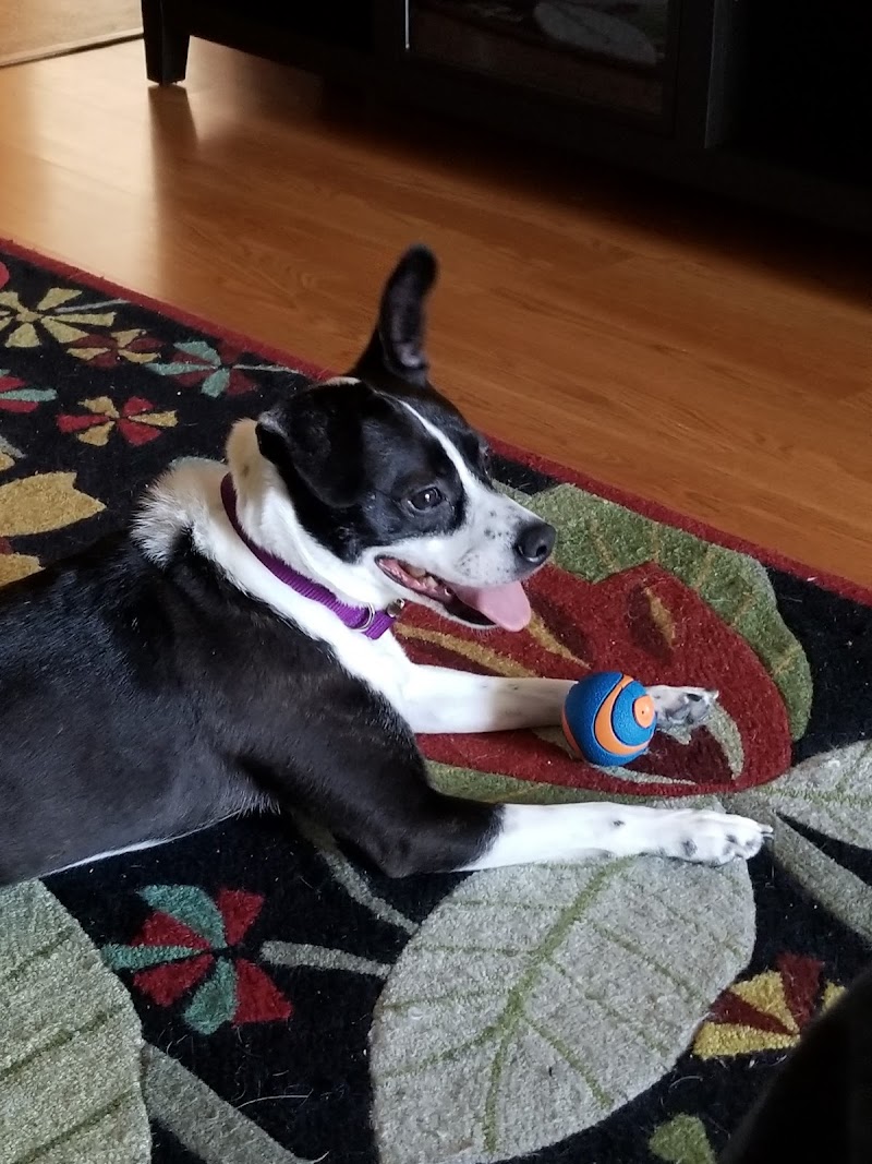 Paw's Natural Pet Emporium - Photo 5