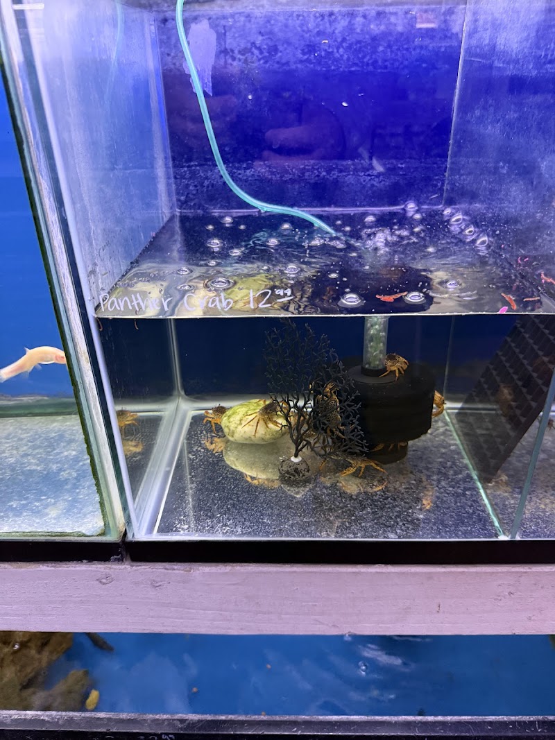 Jan's Tropical Fish - Photo 1