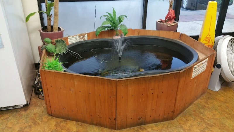 Jan's Tropical Fish - Photo 3