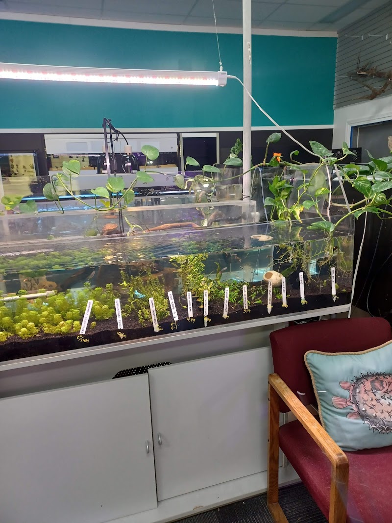 Aquarium Pro - Photo 2