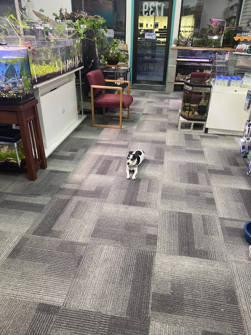 Aquarium Pro - Photo 3