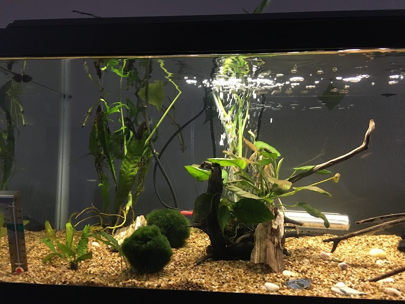 Aquarium Pro - Photo 5