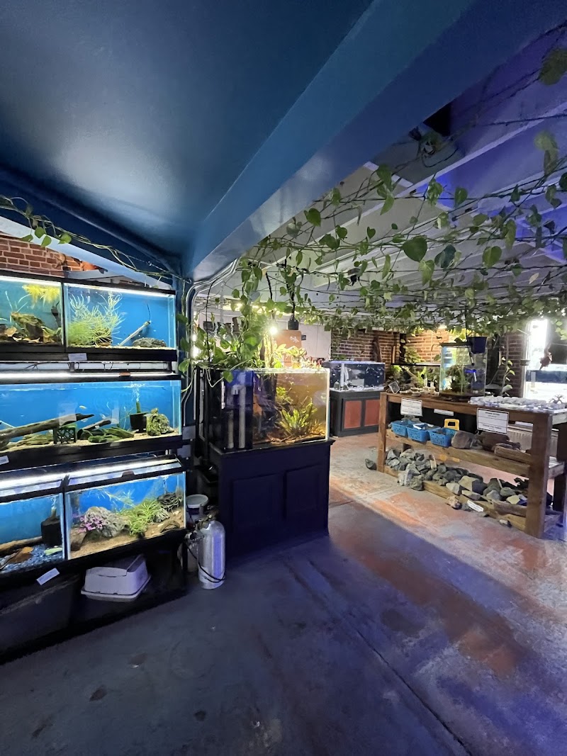 The Pet Works - Photo 2