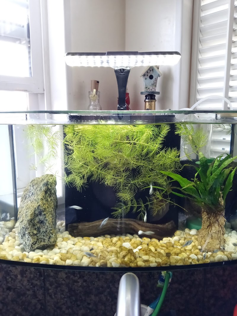 Foothill Aquatic & Pets - Photo 3