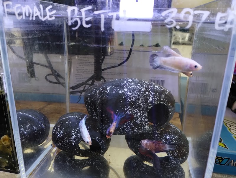 Foothill Aquatic & Pets - Photo 4