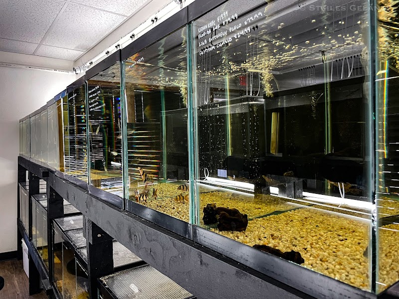 Fish Cave LLC - Photo 1