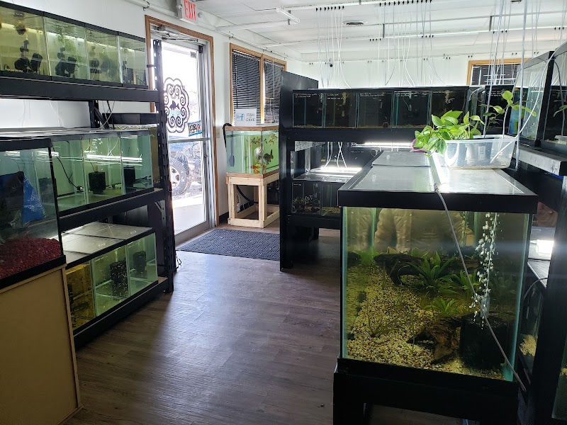 Fish Cave LLC - Photo 3