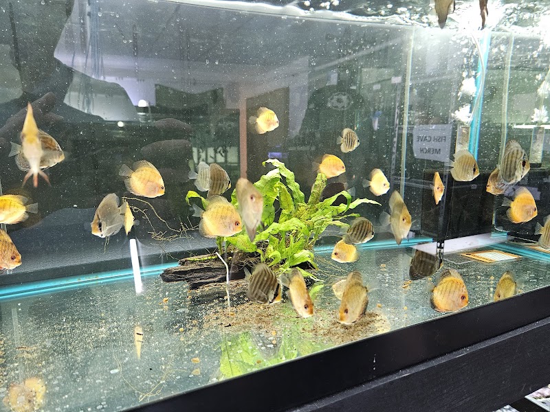 Fish Cave LLC - Photo 4