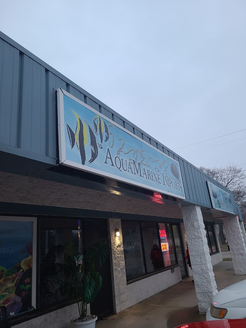 AquaMarine IMPORTS - Photo 1