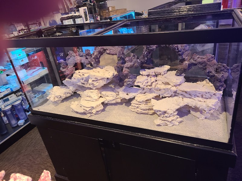 AquaMarine IMPORTS - Photo 3