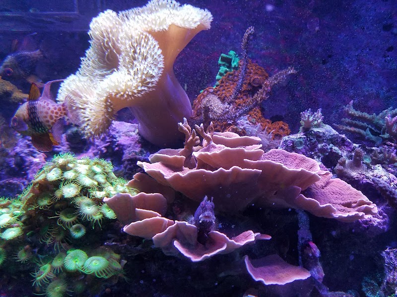 AquaMarine IMPORTS - Photo 4