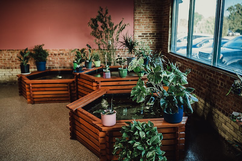 Wild Habitats - Photo 2