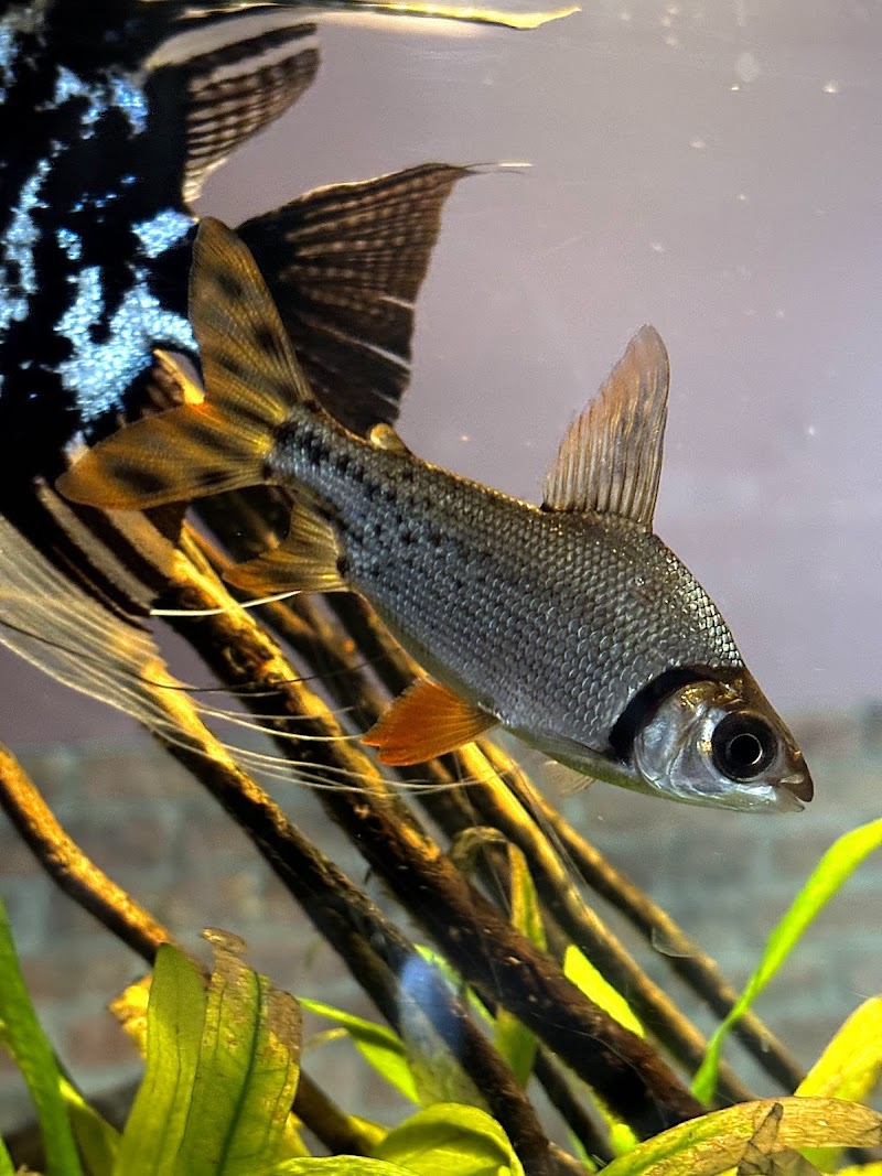 Wild Habitats - Photo 4