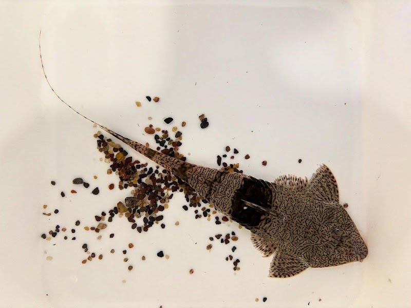 Wild Habitats - Photo 5