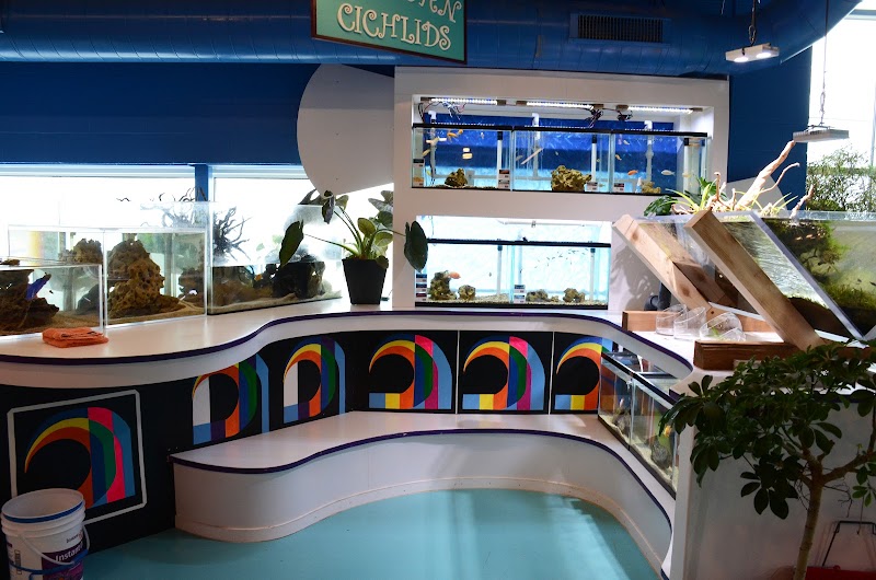 Sanctuary Aquatics - Photo 2