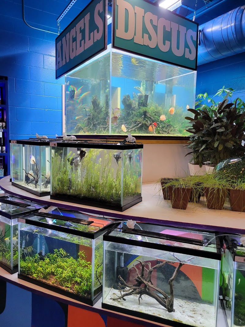 Sanctuary Aquatics - Photo 3