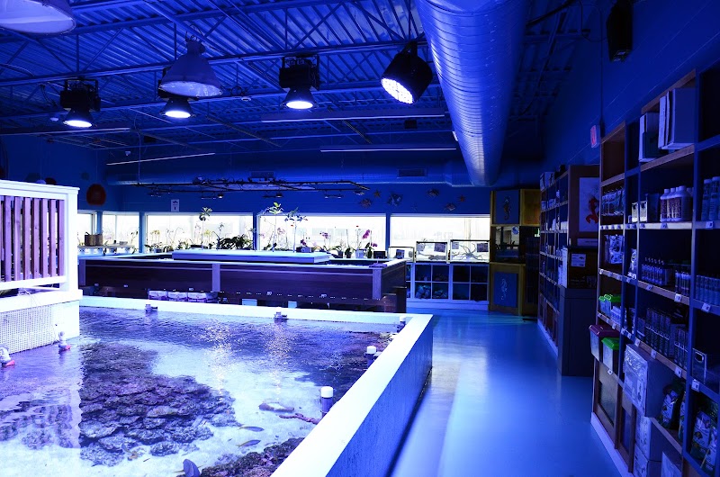 Sanctuary Aquatics - Photo 4