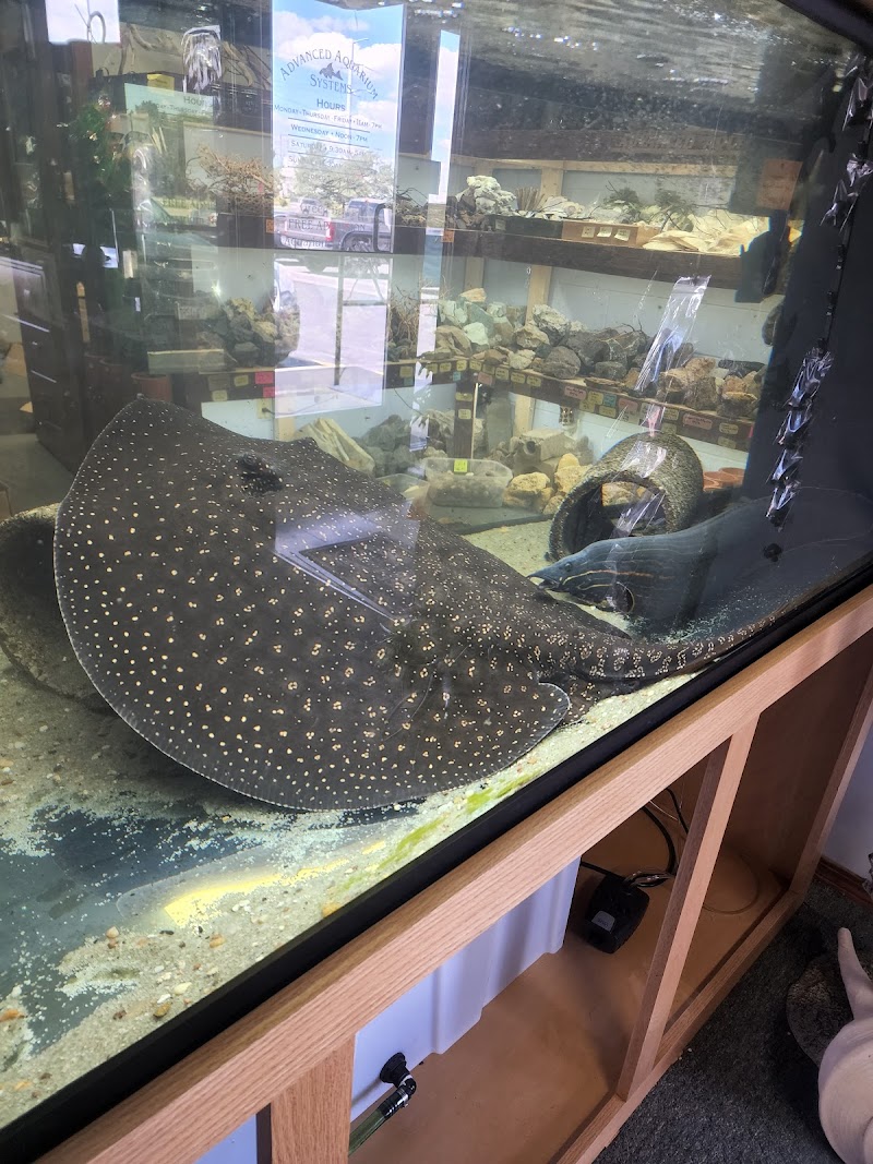 Advanced Aquarium Systems - Photo 2