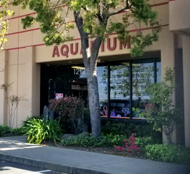 Aquatic Collection - Photo 1