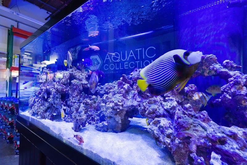 Aquatic Collection - Photo 3