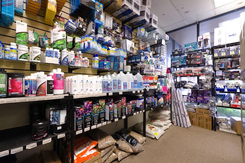 Aquatic Collection - Photo 5