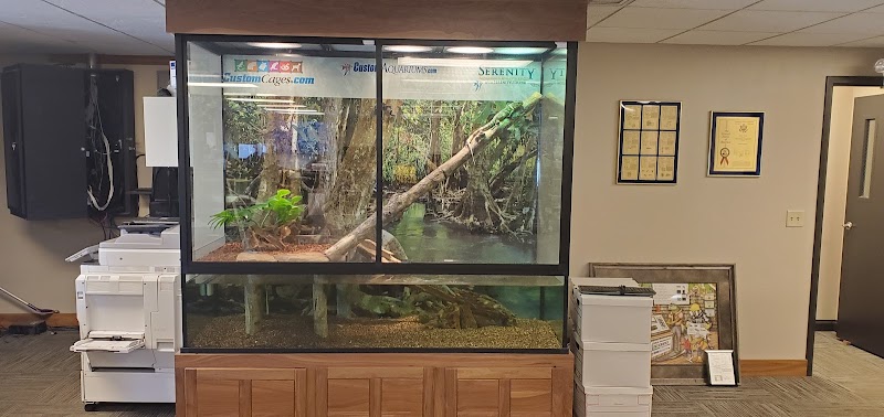 Custom Aquariums - Photo 1