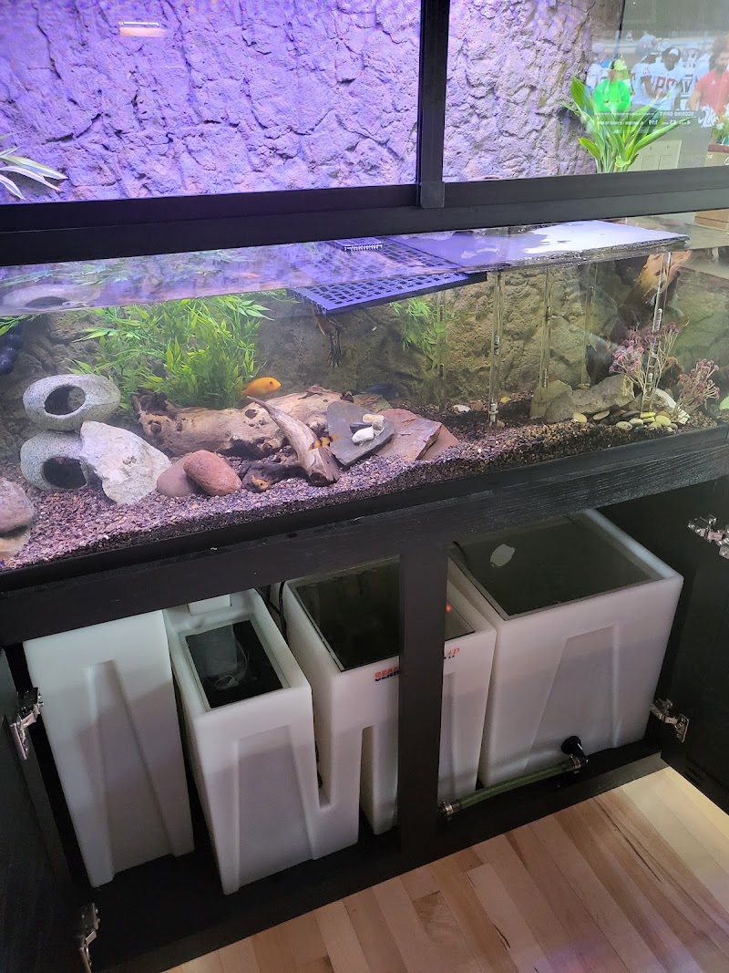 Custom Aquariums - Photo 3