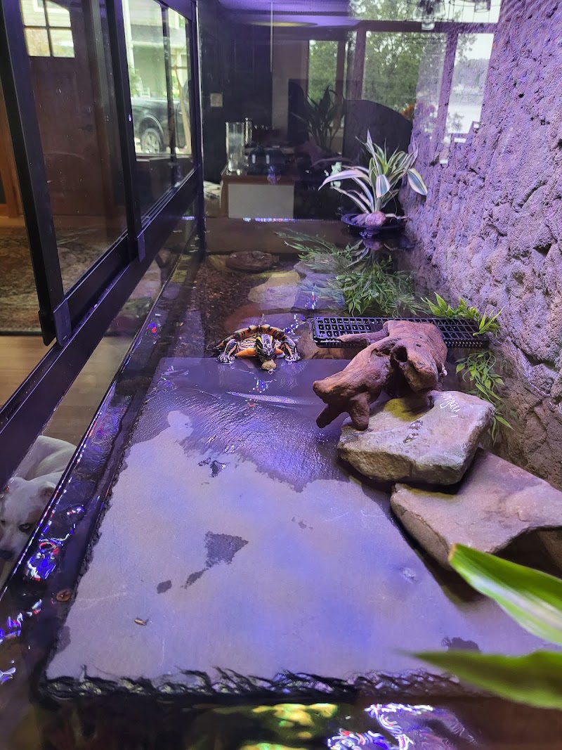 Custom Aquariums - Photo 4