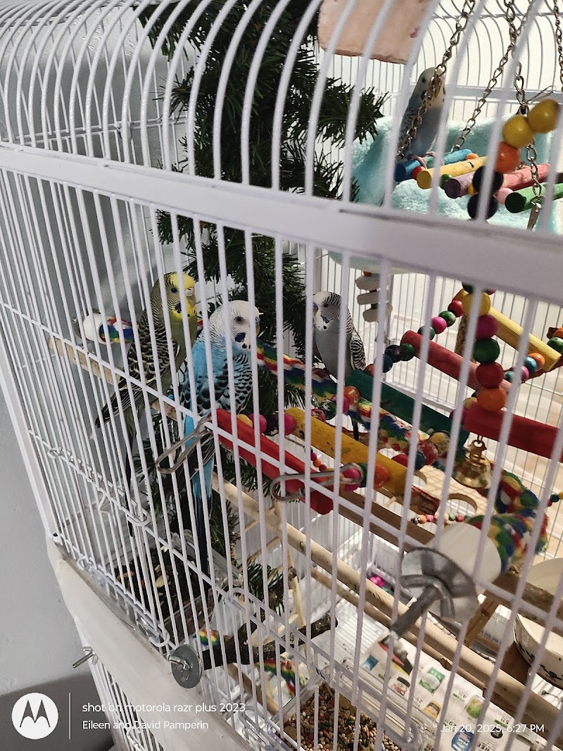 J&R Aquatic Animal Rescue - Photo 2