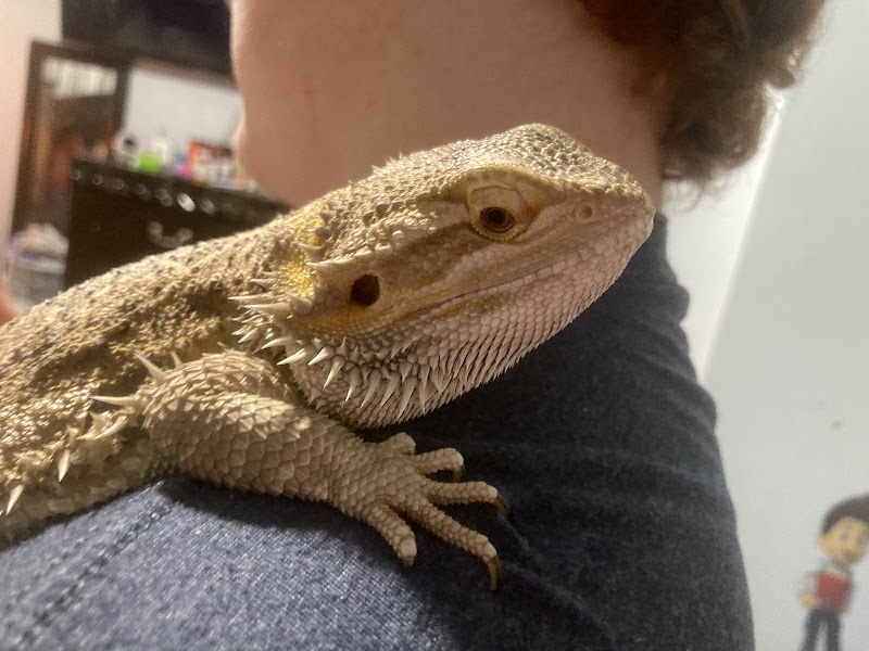 J&R Aquatic Animal Rescue - Photo 3