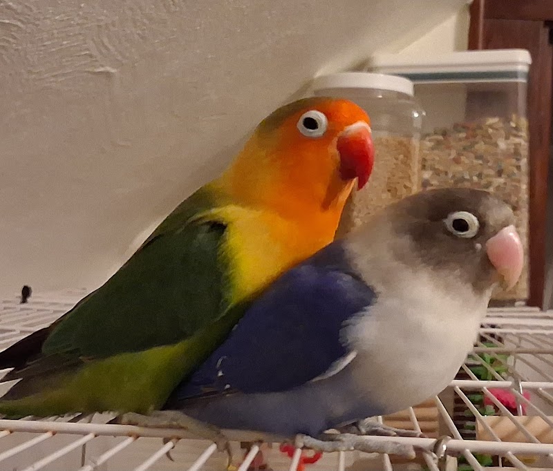 J&R Aquatic Animal Rescue - Photo 4