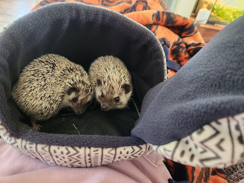 J&R Aquatic Animal Rescue - Photo 5