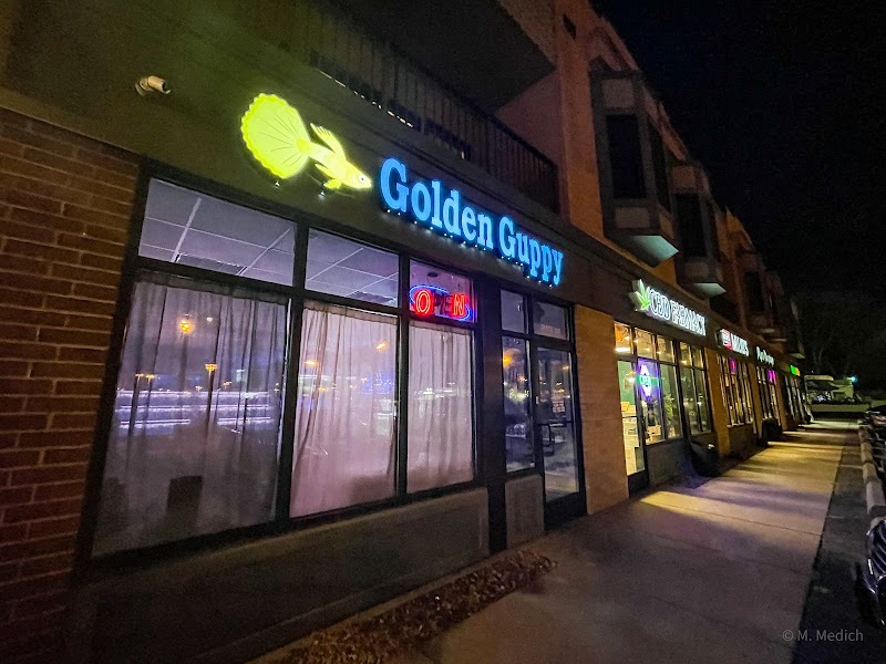 The Golden Guppy - Photo 1