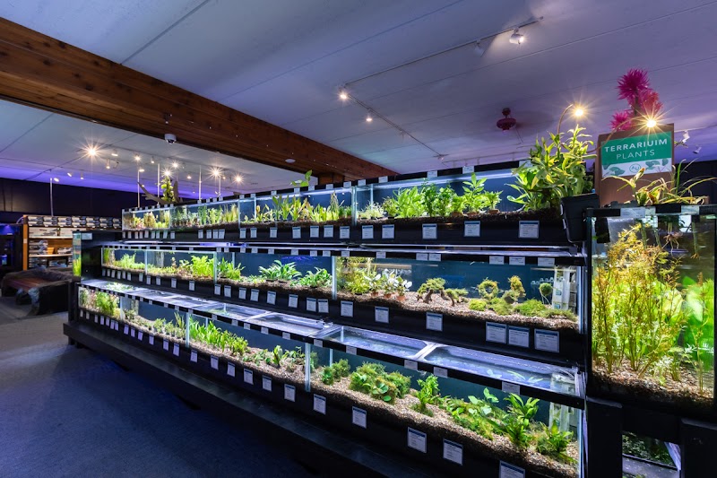 Aquatics Unlimited - Photo 3