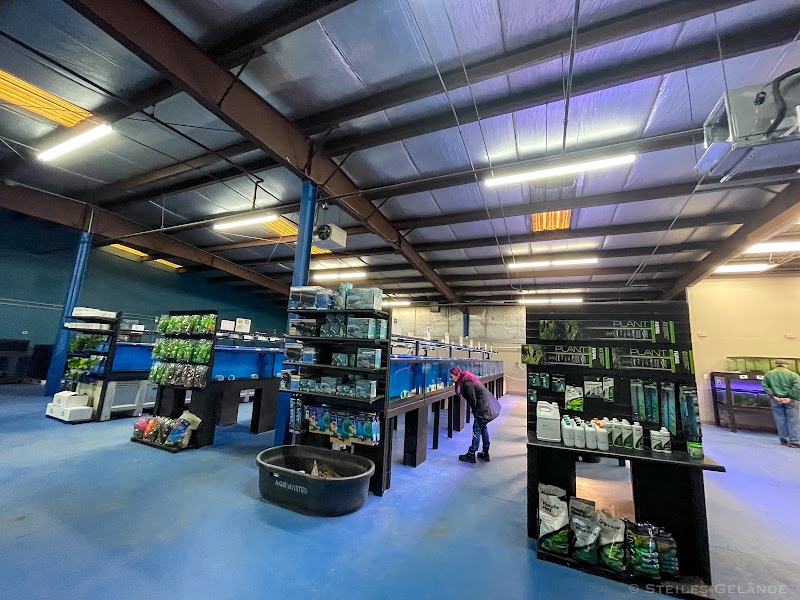 Big Kahuna Tropical Fish - Photo 4