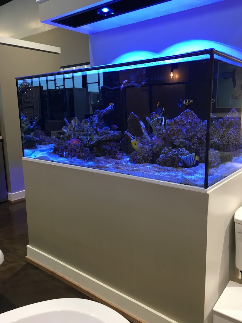 Aquatic Realmz Aquarium Maintenance & Design - Photo 2