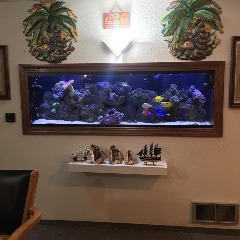 Aquatic Realmz Aquarium Maintenance & Design - Photo 3