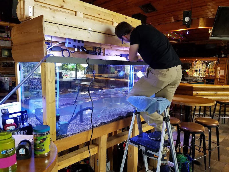 Aquatic Realmz Aquarium Maintenance & Design - Photo 4