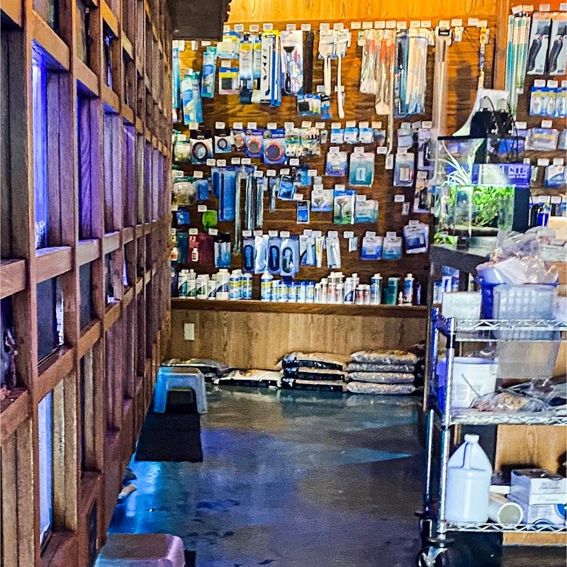 The Fish Factory - Photo 4