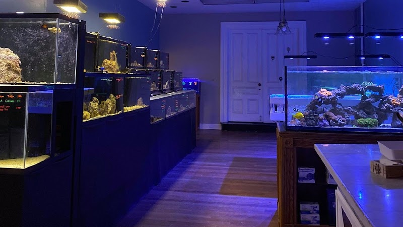 Easy Aqua Fish & Coral - Photo 2